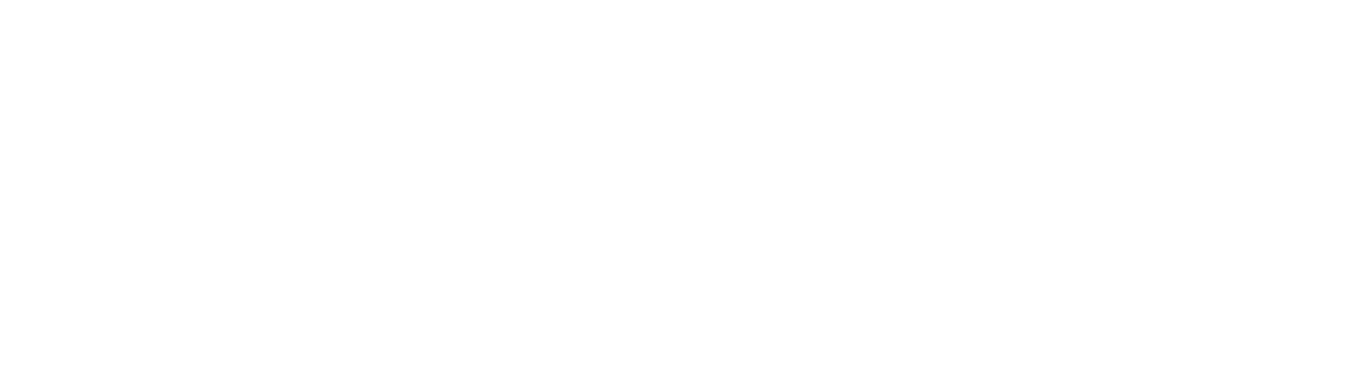 Leopard Labs Logo